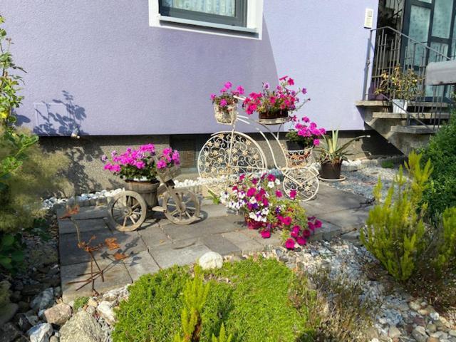Haus Lila Welle Apartment Nordhalben Екстериор снимка